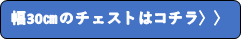 チェストロゴ（岐阜）