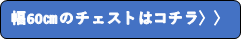 チェストロゴ（岐阜）