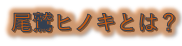カフェトレイ　尾鷲ヒノキ（三重）ロゴ