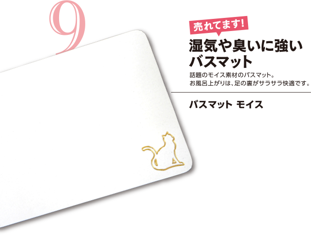 バスマット モイス